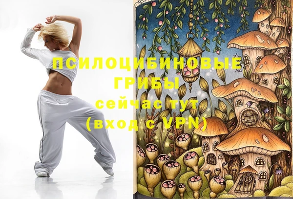 прущие крисы Арсеньев