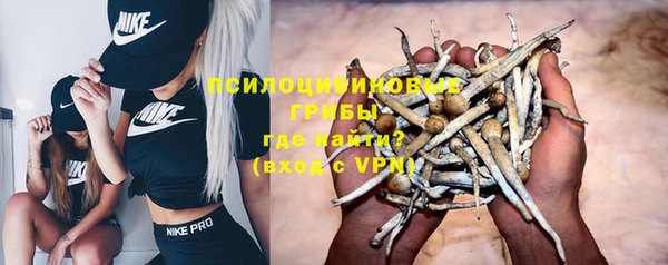 прущие крисы Арсеньев