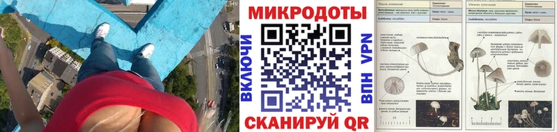 Псилоцибиновые грибы Cubensis  хочу   Нягань 